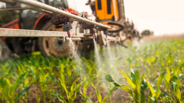Best Mosquito Control Services  in Hammond, WI